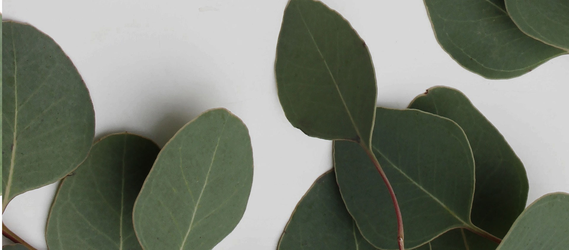 Взыскание ущерба от экологических правонарушений в Апатитах